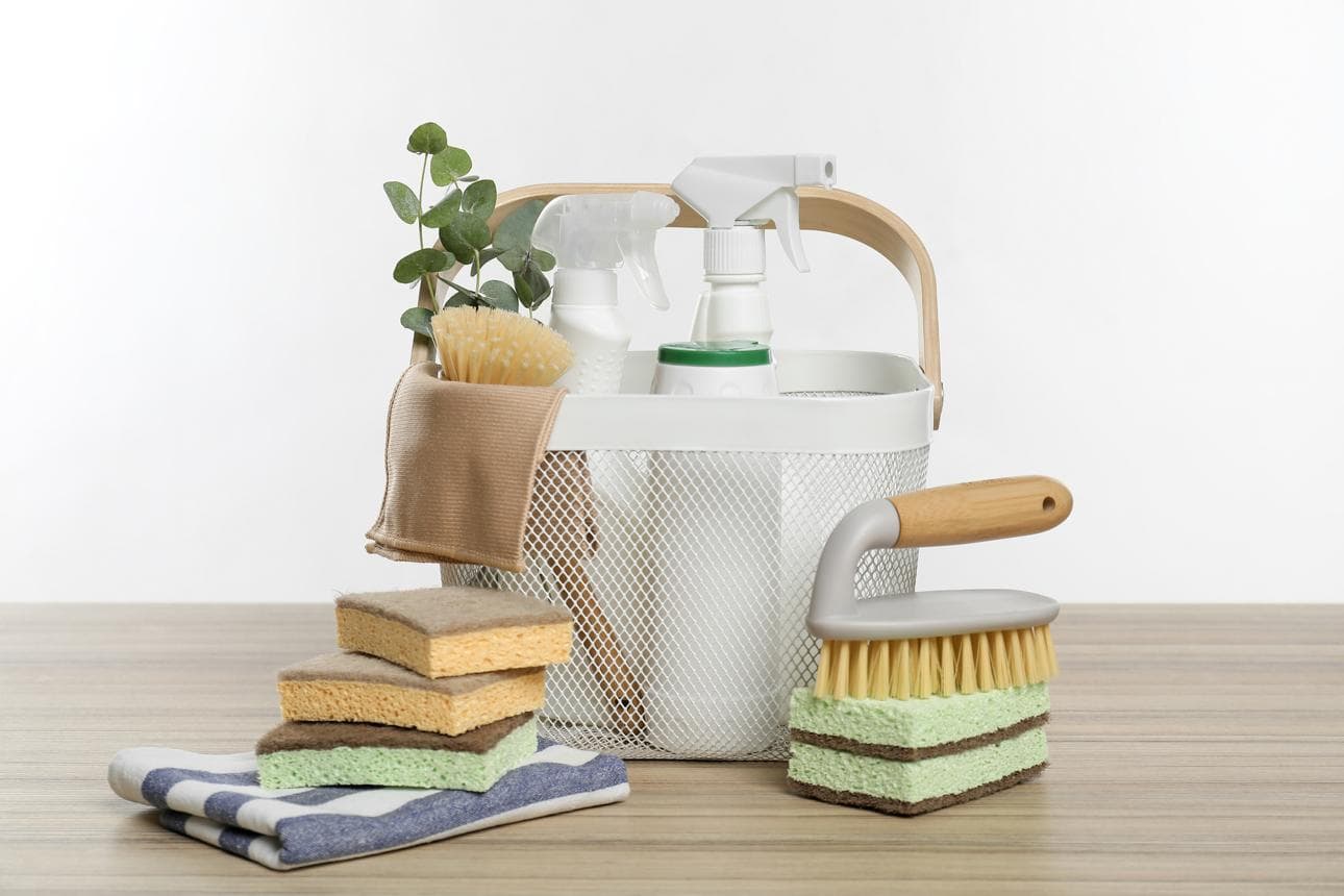 Sustainable Sanitization: Eco-Friendly Rituals